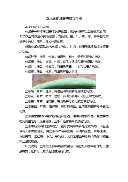 丝瓜各部分的功效与作用