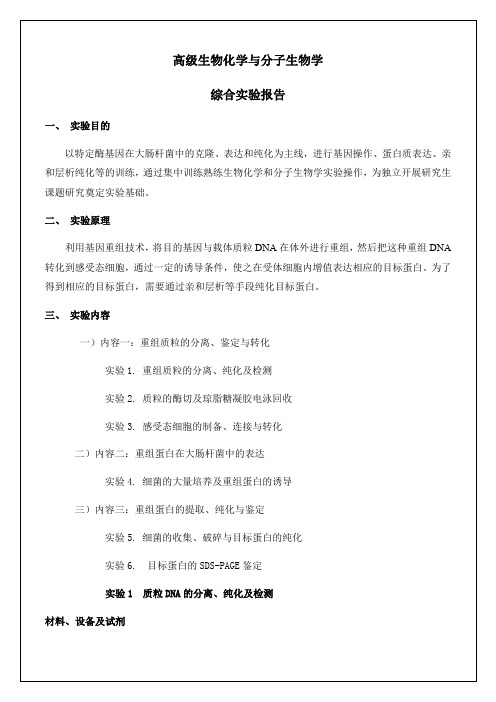 高级生物化学与分子生物学综合实验报告12p