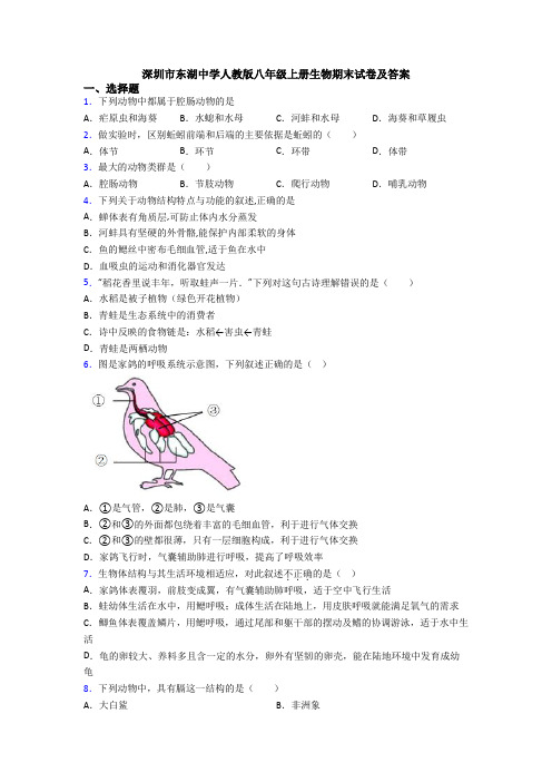 深圳市东湖中学人教版八年级上册生物期末试卷及答案