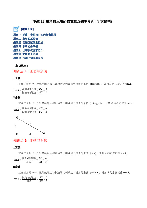 专题11 锐角三角函数重难点题型专训(7大题型)(解析版)