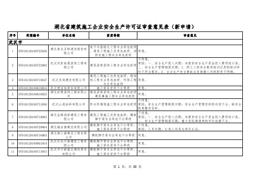 某省建筑施工企业安全生产许可证审查意见表(新申请)