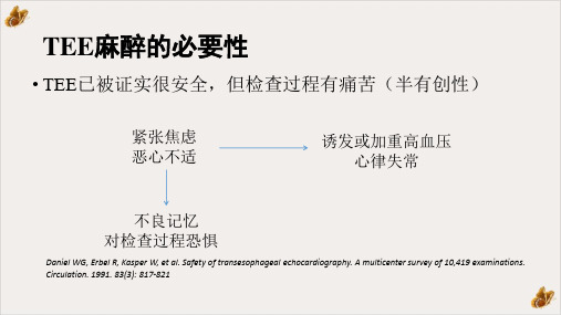 经食道超声心动图检查术的麻醉PPT课件(模板)