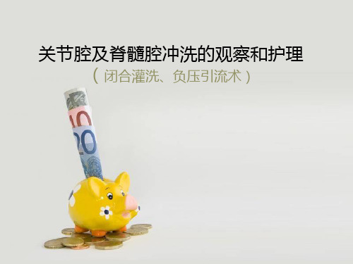关节腔及脊髓腔冲洗的观察与护理ppt课件