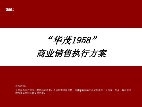 安庆华茂1958项目商业销售执行方案