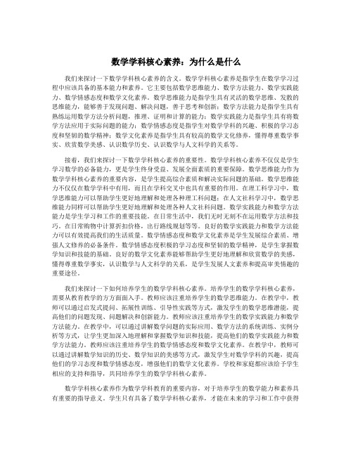 数学学科核心素养：为什么是什么