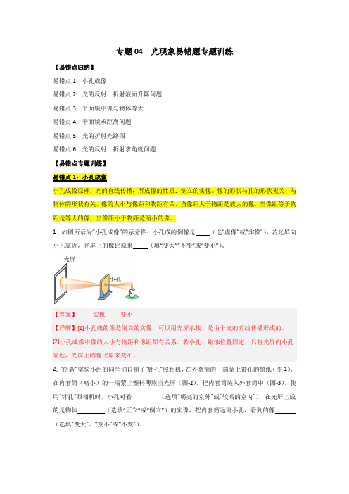 专题04光现象易错题专题训练-2024-2025学年八年级物理上学期期末专题复习(人教版)