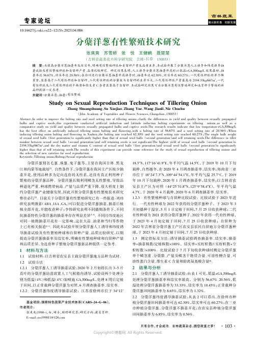 分蘖洋葱有性繁殖技术研究