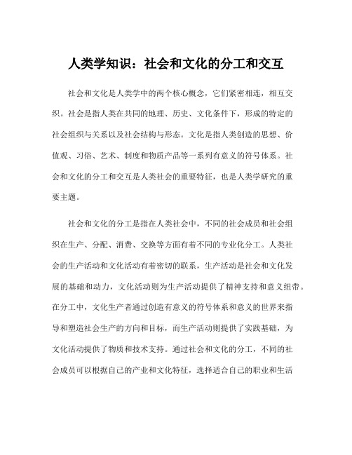 人类学知识：社会和文化的分工和交互