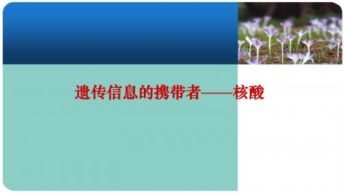 必修一第二章第三节遗传信息的携带者