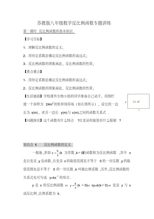 【精选】苏教版八级数学反比例函数专题讲练