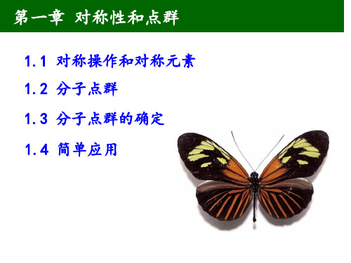 对称性.PPT