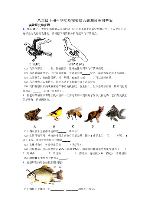 八年级上册生物实验探究综合题测试卷附答案[006]