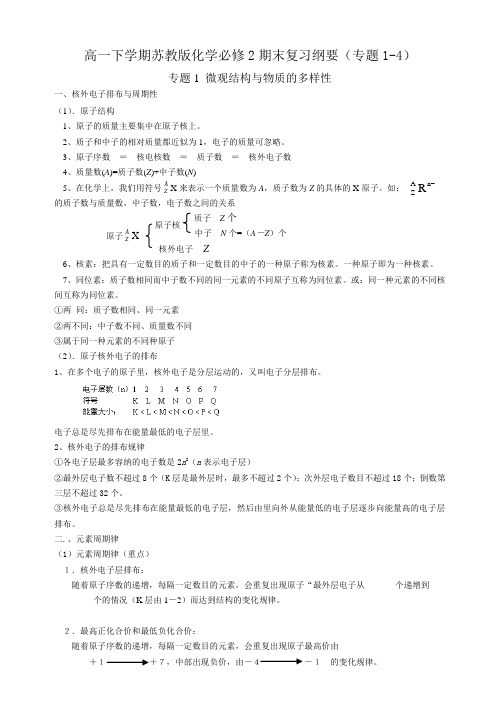 高一下学期苏教版化学必修2期末复习知识纲要专题14