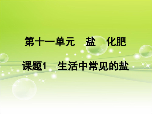 【人教版】九年级化学下册：第11单元 课题1 生活中常见的盐课件 (1)(共34张PPT)