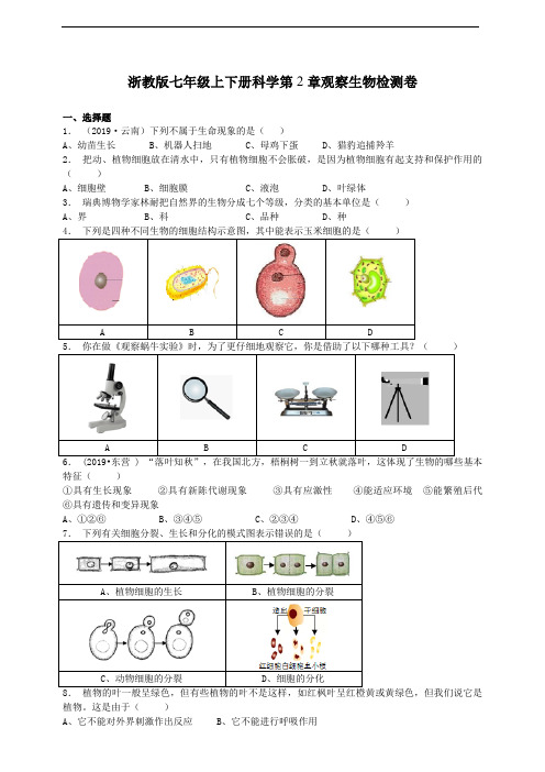 浙教版七年级上下册科学第2章观察生物检测卷(含答案)