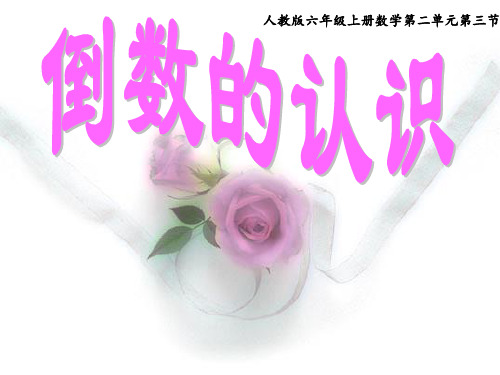 六年级上册数学课件-3.1 倒数的认识19-人教版(共31张PPT)
