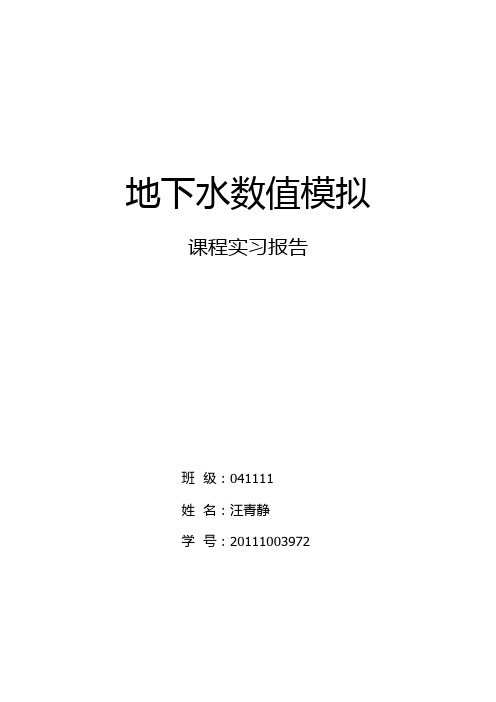 地下水数值模拟课程实习报告