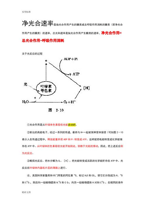 高一生物要点光反应暗反应