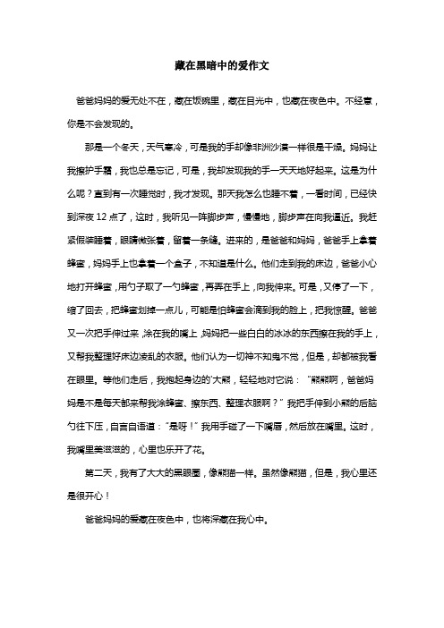 藏在黑暗中的爱作文