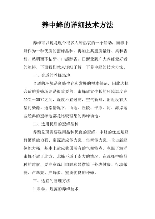 养中蜂的详细技术方法