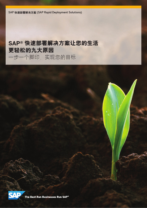 SAP快速部署解决方案概览