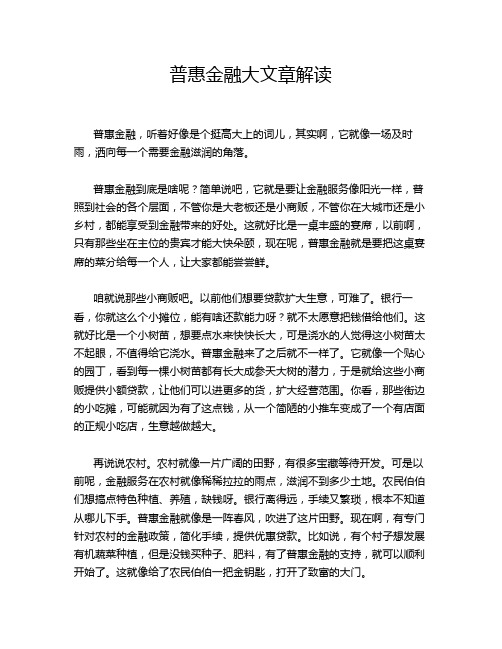 普惠金融大文章解读