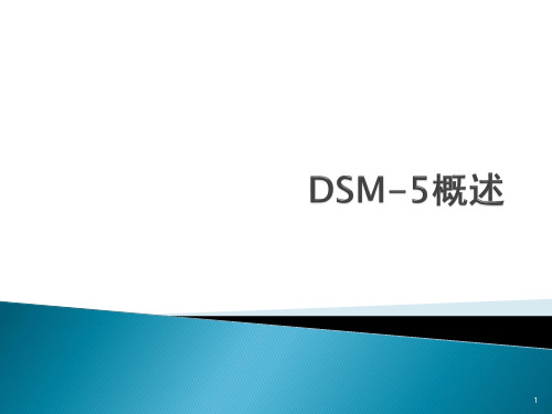 DSM-5概述 最新资料