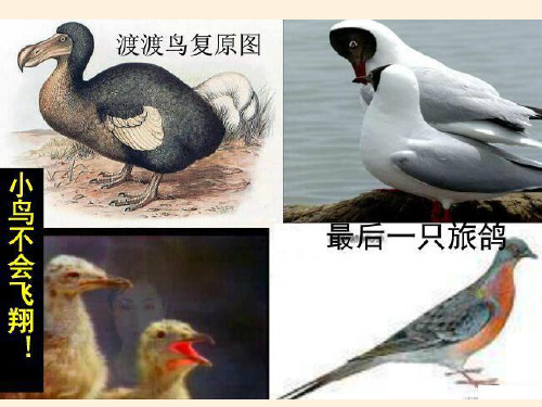高中地理必修二课件-4.1 人类面临的主要环境问题-湘教版