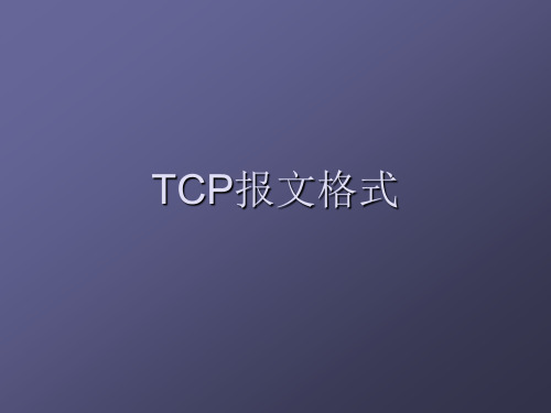 TCP报文格式