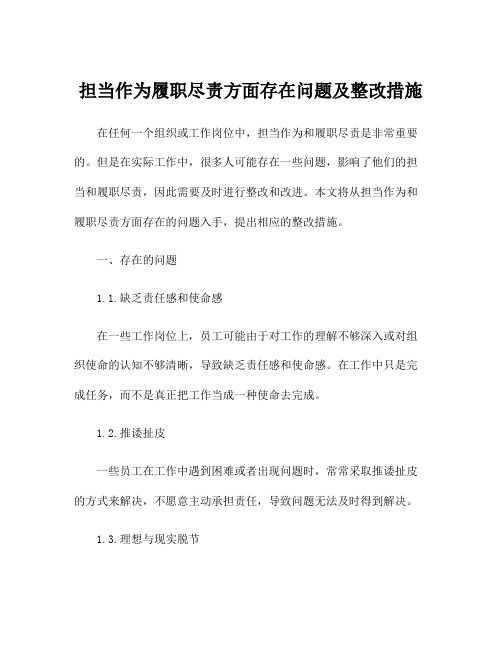 担当作为履职尽责方面存在问题及整改措施