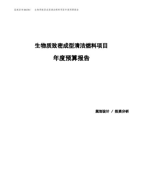 生物质致密成型清洁燃料项目年度预算报告