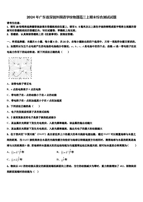 2024年广东省深圳外国语学校物理高三上期末综合测试试题含解析