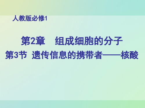 课件：遗传信息的携带者——核酸(同课异构1)