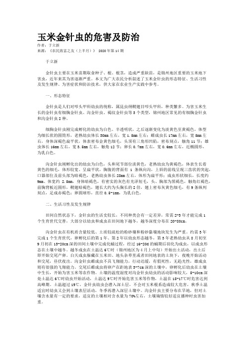 玉米金针虫的危害及防治