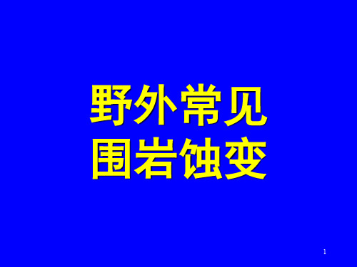 野外常见围岩蚀变