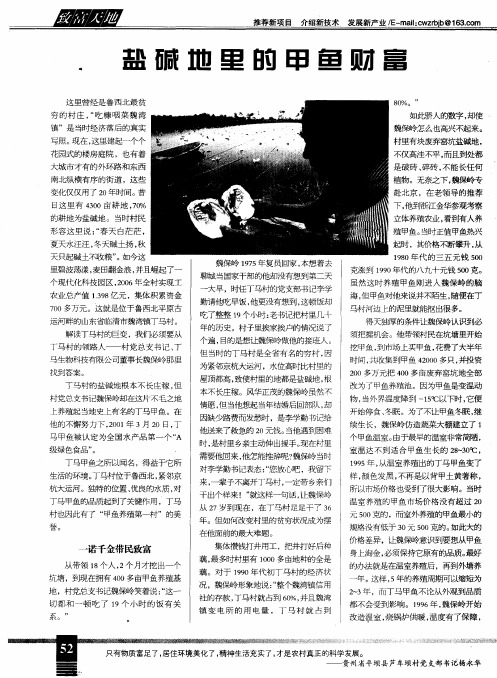 盐碱地里的甲鱼财富