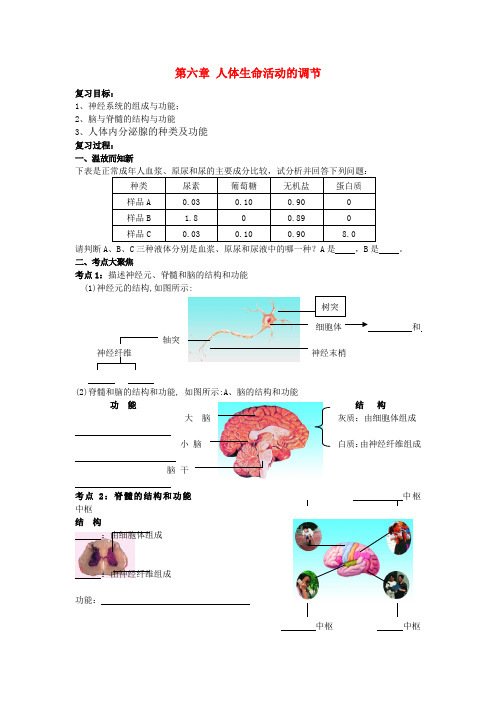 七年级生物下：第四单元第六章人体生命活动的调节复习学案人教新课标版