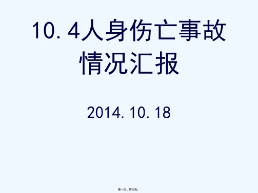 发电公司人身伤亡事故情况汇报