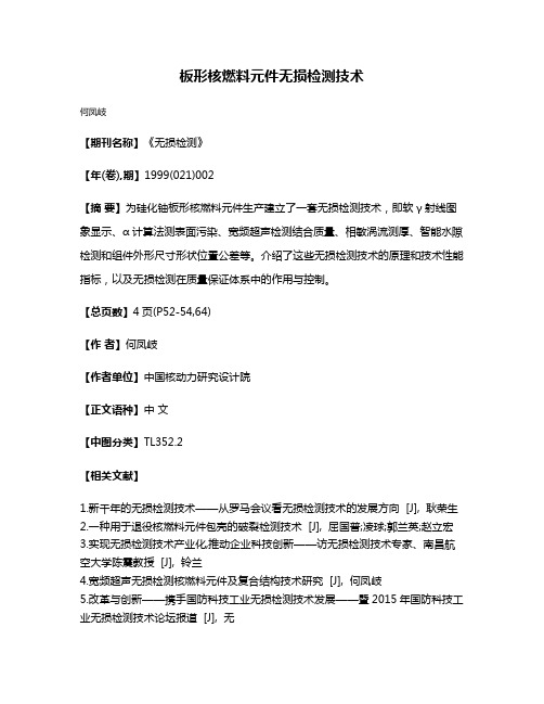 板形核燃料元件无损检测技术