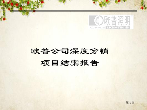 深度分销项目结案报告(ppt 43页)