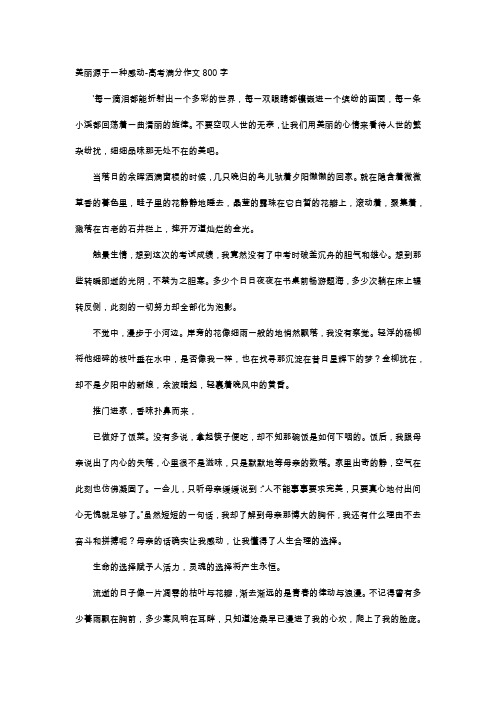 高中作文-美丽源于一种感动-高考满分作文800字