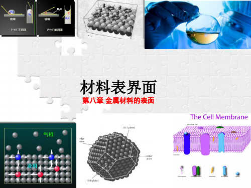 材料表界面第八章金属材料的表面