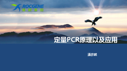 定量PCR定量PCR原理以及应用