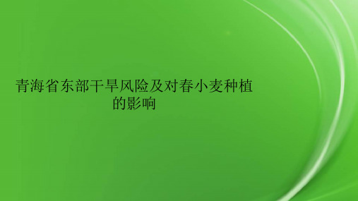 青海省东部干旱风险及对春小麦种植的影响