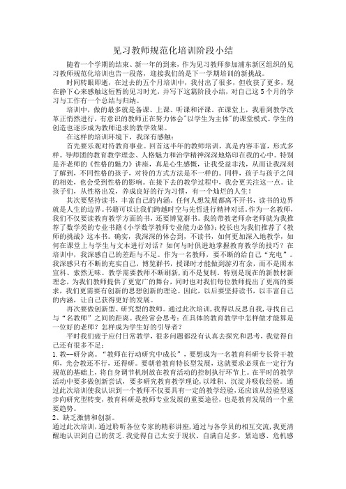 见习教师规范化培训阶段小结