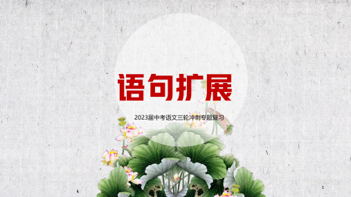 2023届中考语文三轮冲刺专题复习《语句扩展》教学课件