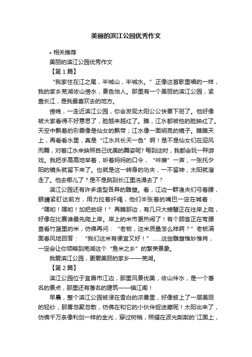 美丽的滨江公园优秀作文