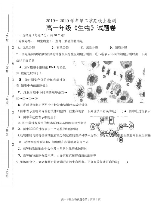 广东省深圳市科城实验学校2019-2020学年高一下学期第一次线上检测生物试题(Word版,无答案)