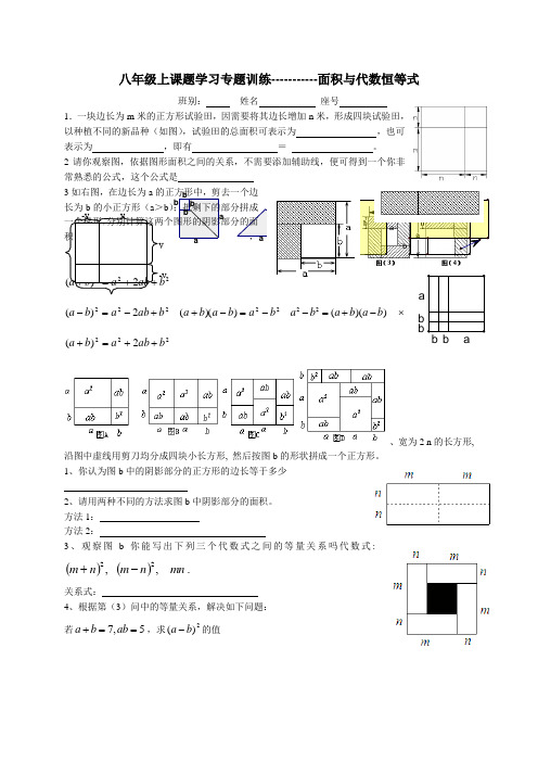 八年级上册专题训练面积与代数恒等式