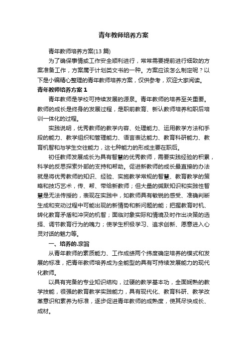 青年教师培养方案（13篇）